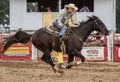 Rodeo Racer Royalty Free Stock Photo