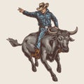 Rodeo rider colorful vintage sticker