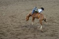 Rodeo in Wyoming