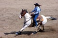 Rodeo Series Royalty Free Stock Photo