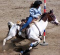 Rodeo Series Royalty Free Stock Photo
