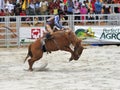 Rodeo Show