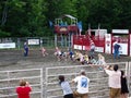 Rodeo Stick Horse Race Royalty Free Stock Photo