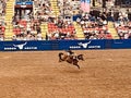 Rodeo Texas