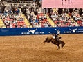 Rodeo Texas