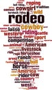 Rodeo word cloud