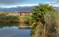 Rodgers Spring - Lake Mead National Recreation Area Royalty Free Stock Photo