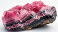 Rodonite displaying its stunning pink and black patterns, elegantly laid out on a white background Royalty Free Stock Photo