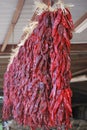 Roe of chile ristras Royalty Free Stock Photo