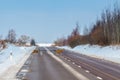 roe deer crossing asphalt road in winter season Royalty Free Stock Photo