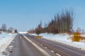 roe deer crossing asphalt road in winter season Royalty Free Stock Photo