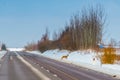 roe deer crossing asphalt road in winter season Royalty Free Stock Photo