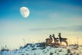 Roe deer on a hill looking to moon Royalty Free Stock Photo