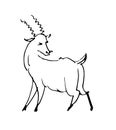 Roe funny. Cheerful wild animal. A comical character. Outline sketch. Hand drawing is isolated on a white background