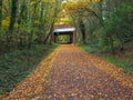 Roe Green Loopline Worsley, footpath and cycleway covered in autumn leaves Royalty Free Stock Photo
