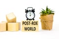 Roe vs Wade post-Roe world symbol. Concept words Post-Roe world on wooden blocks on a beautiful white background. Black alarm