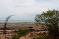 Scenic Landscape in Roebuck Bay, Broome, Western Australia. Royalty Free Stock Photo