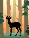 Roedeer in the forest