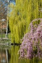 Roehrensee Bayreuth Franconis Bavaria