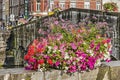 Flowers by the bridge