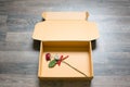 roes in a box Royalty Free Stock Photo