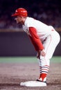 Roger Maris, St. Louis Cardinals Royalty Free Stock Photo