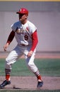 Roger Maris, St. Louis Cardinals Royalty Free Stock Photo