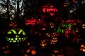 Roger Williams Zoo Halloween Spooktacular.