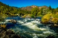 Rogue River Royalty Free Stock Photo