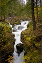 Rogue River Gorge