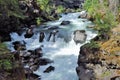 Rogue River, Oregon, Rushes Through the Natural Bridge Area Royalty Free Stock Photo