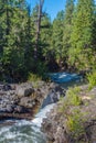 Rogue River-Siskiyou National Forest Royalty Free Stock Photo