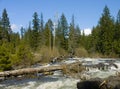 Rogue River - Union Creek, Oregon Royalty Free Stock Photo
