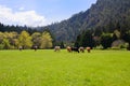 OR-Rogue River Wilderness-Paradise Lodge.