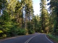 Rogue-Umpqua Scenic Byway