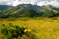 Rohace Mountains in Slovakia Royalty Free Stock Photo