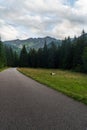 Rohacska dolina valley with peaks above in Western Tatras mountains in Slovakia Royalty Free Stock Photo