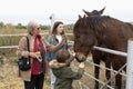 Family playing horses in a shelter in Rojales, province of Alicante in Spain.