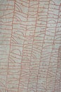 Rok runestone Royalty Free Stock Photo