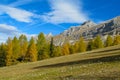 Dolomite mountains in autumn with yellow trees Royalty Free Stock Photo