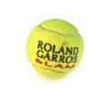 Roland garros Royalty Free Stock Photo