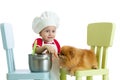 Role-playing game. Kid boy plays chef with dog. Child weared cook feeds Spitz puppy.