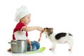 Role-playing game. Kid boy plays chef with pet. Child weared cook feeds dog.