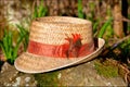 Vintage IH Farmall straw hat from the 1960`s