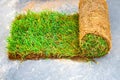 roll of artificial turf with green grass