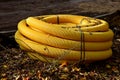 Roll, club, large yellow perforated hose, which is used in construction as a drainage water. landscape architects enjoy it on dehu Royalty Free Stock Photo