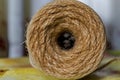 Roll of coil twine cord Royalty Free Stock Photo