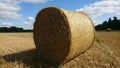 Roll of dried hay