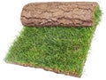 Roll of Grass Rug