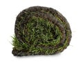 Roll of grass sod on white background Royalty Free Stock Photo